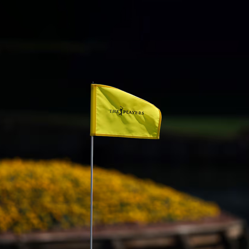 Vua Đã Hết Thời? Scottie Và Dấu Hiệu Trượt Dốc