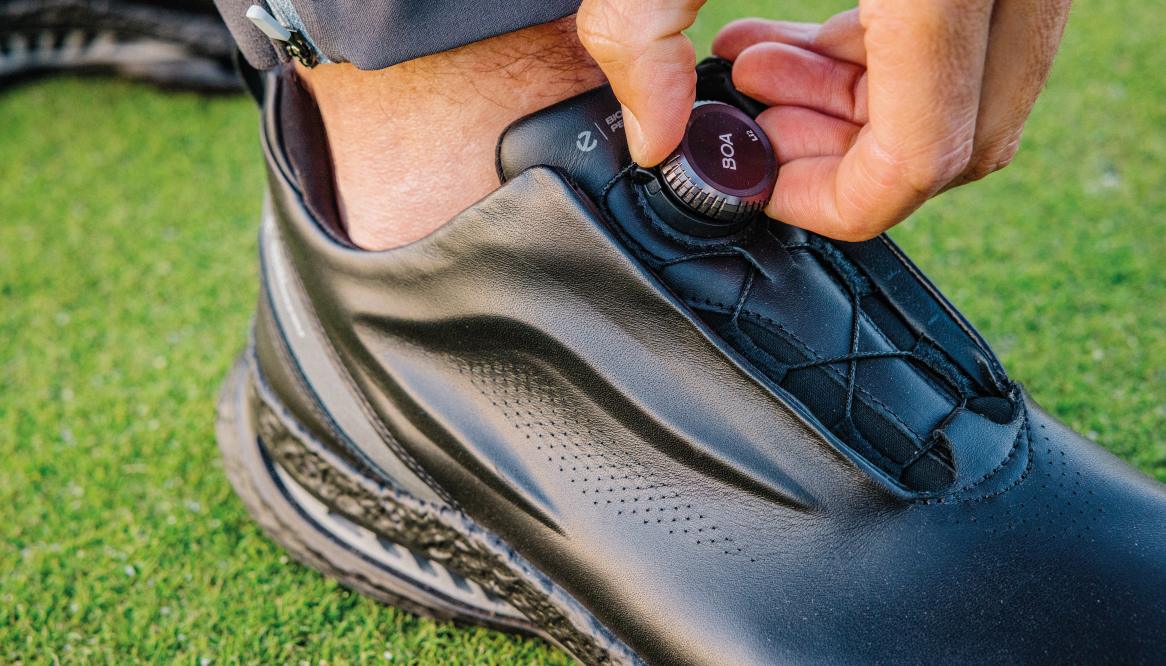 M-Biom-C5-ECCO5