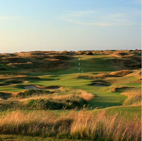 Cỏ fescue lựa chọn xanh cho sân golf bền vững