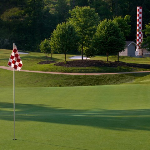 Cảnh sát Georgia rượt đuổi tội phạm bằng... xe golf