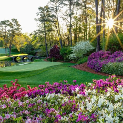 Tin vui từ Masters 2026: Daniel Jones hồi phục thần tốc