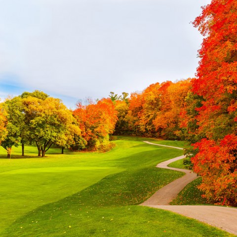 12 lý do chơi golf vào mùa thu là tuyệt vời nhất