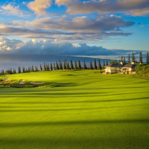 Chơi golf ở Hawaii