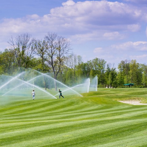 Cách các pro lợi dụng Sprinkler để thoát Fairway